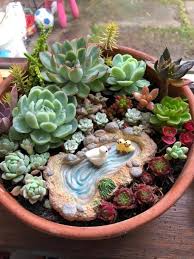 We now take a look at some unconventional arrangements that are perfect for the gardener who wants to be a true original! Succulent Arrangement Home Facebook