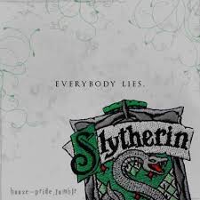 slytherin pride everybody lies slytherin hogwarts coole spruche