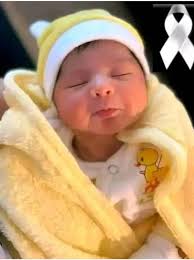 Fans de Gerard Butler