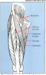 Causes, treatment, and when to see a doctor : Figure 1 From When Groin Pain Is More Than Just A Strain Navigating A Broad Differential Semantic Scholar