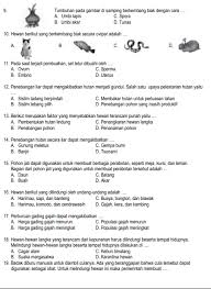 Pin Di Belajar