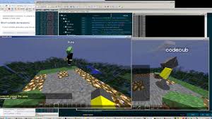 2b2t is a minecraft server with the goal to never . 2b2t Queue Spoofing