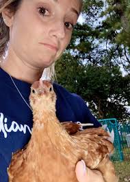 Can you mix bantams with regular sized chickens?