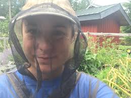 Pemberton Cove Christmas Lights Display in Jackson, TN