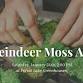 Reindeer Moss Art event image