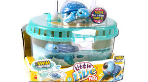 Little Live Pet Lil Turtle Tank With Starry The Turtle Youtube
