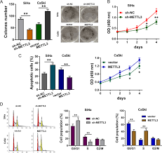 Image result for tbn:l8vPtPMJN_GdhM::www.transport.polymtl.ca/civ1120/etud_h09/TOPALIAN/viaduc_millau.jpg