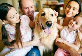Maybe you would like to learn more about one of these? 16 Essential Dog Care Tips To Keep Your Pet Healthy Happy And Safe