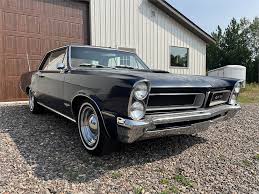 Image result for Nightwatch Blue 1965 GTO