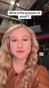 What Is Windresicstenc