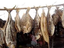 Image result for Saint Martin bangladesh  big size pic