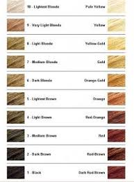 Hair Bleach Shade Chart Bedowntowndaytona Com