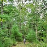 Exercise Walk