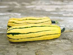 Delicata Squash Seeds Baker Creek Heirloom Seed Co Gia Vị