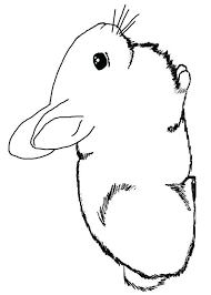 45 Disegni Di Conigli Da Colorare Pianetabambini It Disegno Coniglio Disegni Coniglio