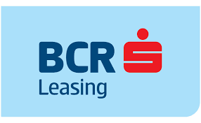 Conturi curente, depozite ,carduri și credite bancare. Automotive Investment Corporation