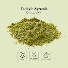 Image result for Fadogia