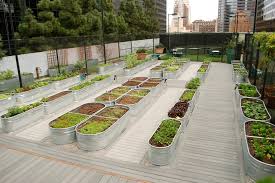 40945b783d8c2dce83d5996a9e990373 Jpg 990 662 Urban Garden Container Gardening Raised Vegetable Gardens