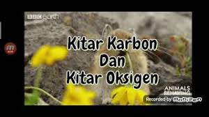 Sains tingkatan 2, bab 2 : Kitar Karbon Dan Kitar Oksigen Sains Tingkatan 2 Youtube