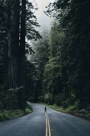 We hope you enjoy our rising collection of aesthetic wallpaper. Photography Forest Aesthetic Wallpaper Kulis Kocaeli