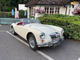 Image result for Old English White 1961 MG