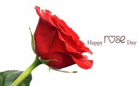 Happy Rose Day 2018 Messages Images Pics Wishes Hd Wallpapers Happyroseday Rose Day Shayari Rose Day Pic Flowers Free Download