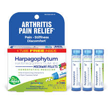 Image result for Harpagophytum