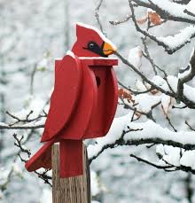Most species of birds require specific sizes of bird houses as well as entrance holes. Amish Hand Made Bird Shaped Birdhouse Cardinal