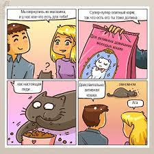 bez kota i zhizn ne ta komiksy o tom na chto pohozha zhizn s koshkoj zhurnal cosmopolitan smeshnye koshki komiksy kot
