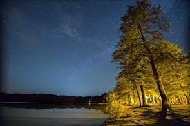 White lake state park is located at 1632 white mountain highway tamworth, nh 3886. White Lake State Park New Hampshire Camping Reservations Reserveamerica