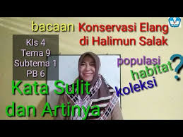 Itu artinya dia telah belajar dalam … a. Kata Sulit Dan Artinya Pada Bacaan Konservasi Elang Di Halimun Salak Kls 4 Tema 9 Subtema 1 Pb 6 Youtube