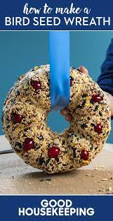 Spoil Your Backyard Birds With The Cutest Seed Wreath Homemade Bird Feeders Bird Seed Crafts Backyard Birds