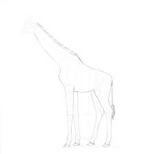 Check spelling or type a new query. Comment Dessiner Une Girafe Et Un Motif De Girafe Design Et Illustration Developpement De Sites Web Jeux Informatiques Et Applications Mobiles