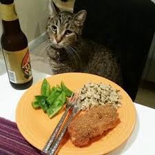 The No I Wasn T Thinking Of Eating Your Dinner Face Cat Owners Cats Dog Person