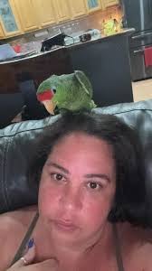 USA 911 PARROT LOST AND FOUND (OFFICIAL)