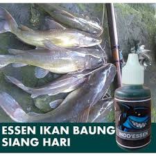 Sebenarnya cara mancing di waduk ini sama juga dengan lokasi lainnya, hanya saja jika pada waktu malam maka peralatan yang dibawa yang membedakan. Essen Ikan Baung Paling Jitu Shopee Indonesia