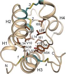 Download hitachi 79 unlock cd. Plant Lipid Transfer Proteins Are We Finally Closing In On The Roles Of These Enigmatic Proteins Journal Of Lipid Research