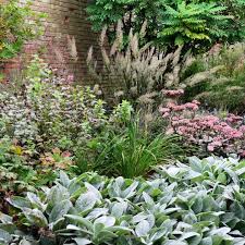 Pin Pa Plant Colour Combinations