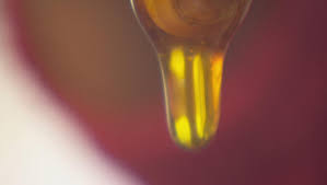 Here's how you say it. Catch The Buzz On The Greek Island Of Ikaria Where Life Expectancy Is Among The Highest In The World Residents Credit The Local Honey Bee Culture