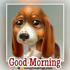 Maybe you would like to learn more about one of these? 16 Best Dog Morning Greetings Morning Greetings Morning Quotes And Wishes Images