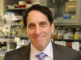 Elections to the Executive Committee