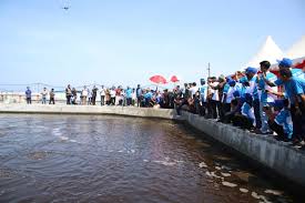 Tambak Udang Terbesar Di Indonesia Infoakuakultur Com