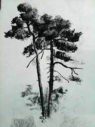 Using your charcoal pencil, shade in the branches with careful strokes to represent pine needles. Pin On Everything Artsy Fartsy