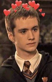 Harry Potter Preferences