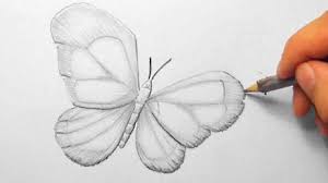Schmetterling Zeichnen Im Zeitraffer Butterfly Drawing In Fast Motion Hd Youtube