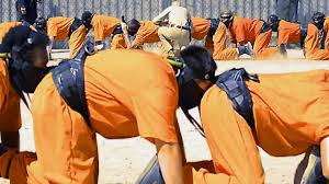 Prime Video: El ciempiés humano 3