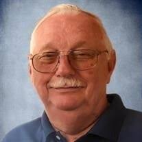 David Martin Knepp Obituary (2024)