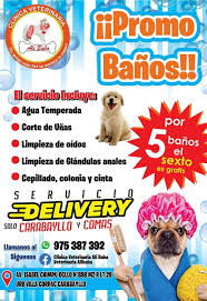 Veterinaria Ali Baba