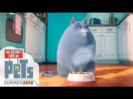 тайная жизнь домашних животных 2 смотреть онлайн бесплатно ютуб The Secret Life Of Pets Meet Chloe Hd Illumination Secret Life Of Pets Pets Movie Secret Life