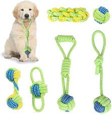 Orphaned puppies will need extra care for survival to compensate for the loss of their mother. Pet Supplies Dog Toy Interactive Chewing Rope Ball Toys Set 100 Natural Cotton Washable Durable Tug Of War For Small Medium Dogs Puppies Training Playing Teeth Cleaning 6 Pack Amazon Com